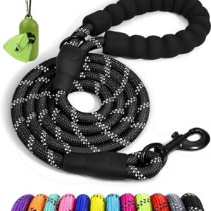 Taglory 6 FT Reflective Dog Leash