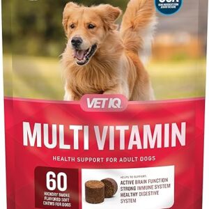 VetIQ Dog Multivitamin, Supports Brain, Immune System