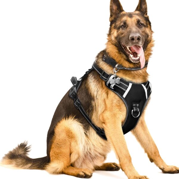 WINSEE No Pull Dog Harness with Collar