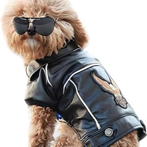 Winter Dog Leather Motorcycle Jacket - Waterproof