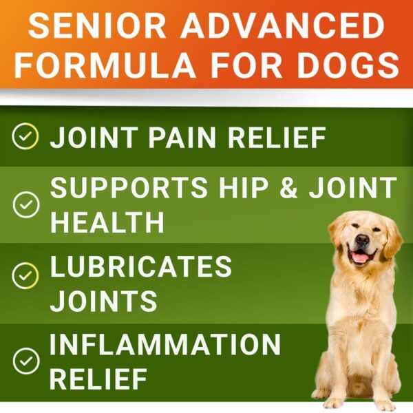 Senior Dog Joint Supplement for Pain